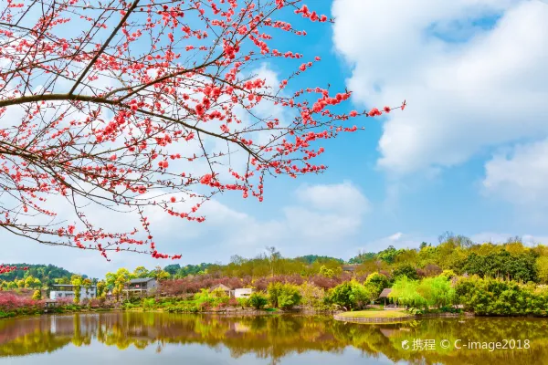 Vé máy bay Trùng Khánh Đà Nẵng