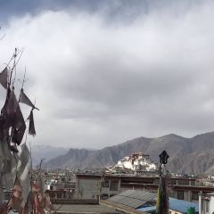 Amdo Norzen Tibetan Restaurant User Photo