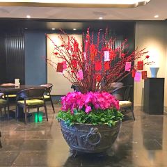 波羅蜜多飯店·如飴軒張用戶圖片