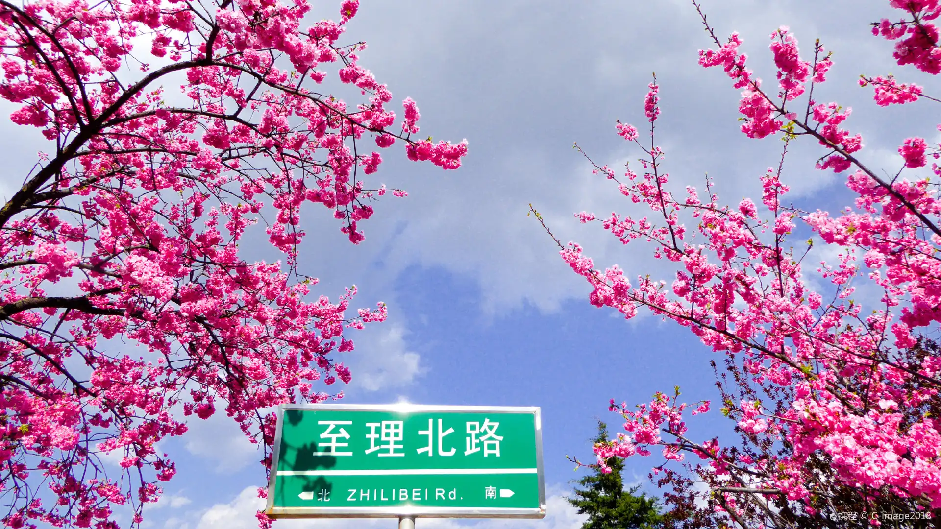 鄰近大理大學的酒店