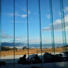 All Day Dining The Terrace User Photo