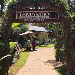 Tamambo Karen Blixen User Photo