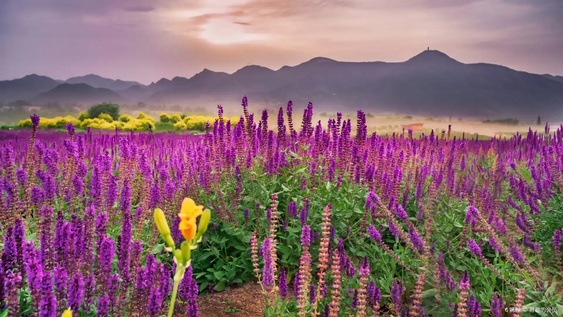 Hotels near Changping Seven-hole Bridge Flower Sea