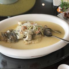 Longyilou User Photo