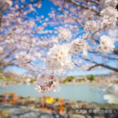 5-звездочные отели в г. Киото