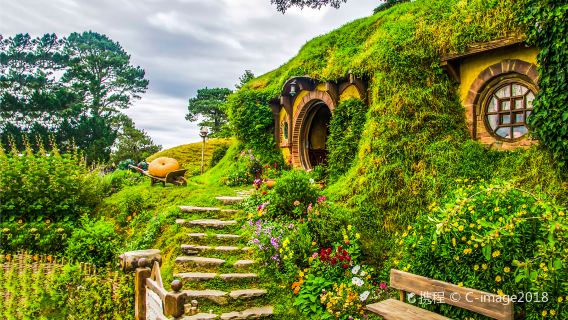 紐西蘭奧克蘭+霍比特村+懷託摩螢火蟲洞【探秘精緻霍比特人】