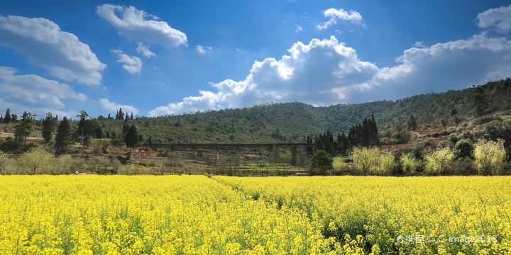 The Golden Tanglang River Scenic Zone