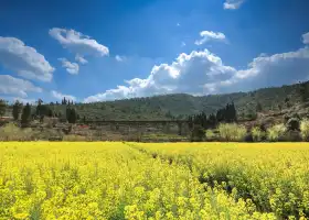 The Golden Tanglang River Scenic Zone