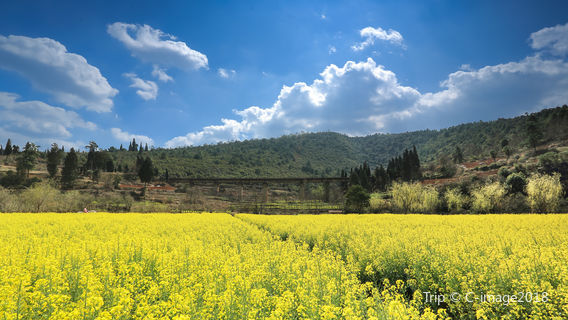 The Golden Tanglang River Scenic Zone