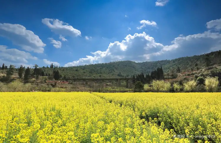 Hotels near The Golden Tanglang River Scenic Zone