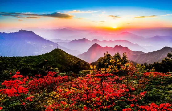 龍泉山旅遊區門票（包括纜車＋景區接駁車）成人