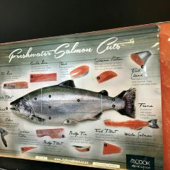 Mount Cook Alpine Salmon張用戶圖片