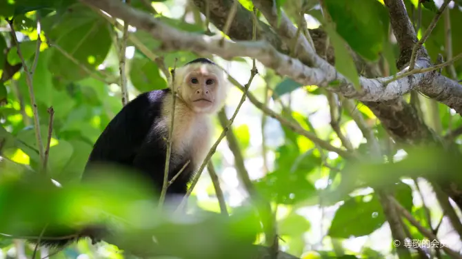 3_Manuel Antonio National Park
