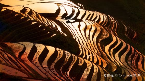 Yangshuo Private 1-Day Tour: Longji Rice Terraces, Jinkeng Rice Terraces, Huangluo Yao Village, and Golden Buddha Peak Scenic Spot