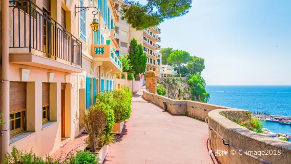 Éze + Jardín Botánico Tropical de Eze + Ópera de Montecarlo [servicio de coche privado con conductor fletado]