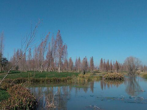 Cuc Phuong National Park