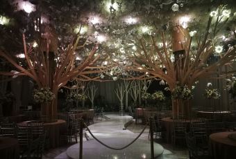 TONG QING LOU User Photo