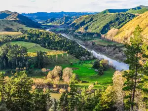 Whanganui National Park