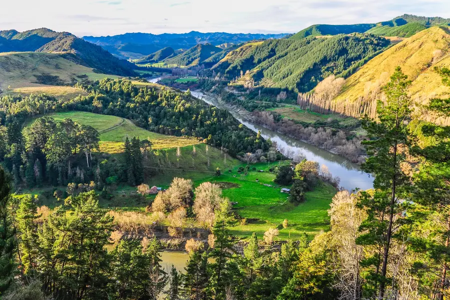 Whanganui National Park