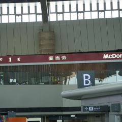 麦当劳(鄂尔多斯机场店) User Photo