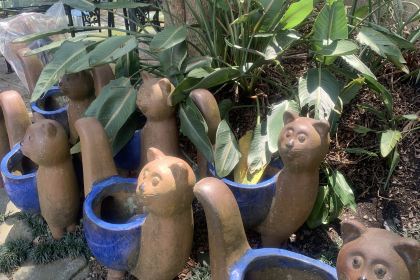 沃尓沃群渡假民宿餐廳