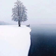 云水谣湖景餐厅(龙湖新天地店) User Photo