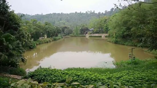 龙城森林公园&mdash;&mdash;深圳龙岗区。从大鹏坐