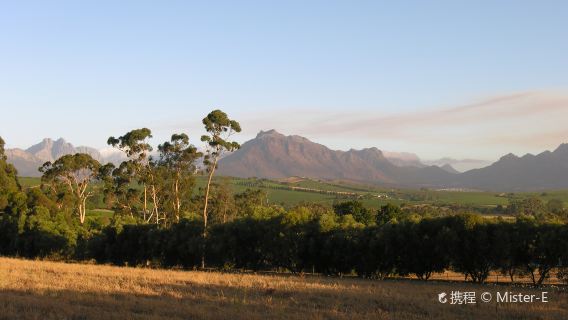 J.C Le Roux