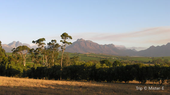 Stellenbosch