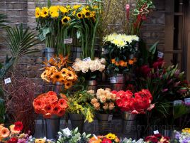 Key Blooms Inc Retail