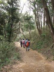 Daibutsu Hiking Trail
