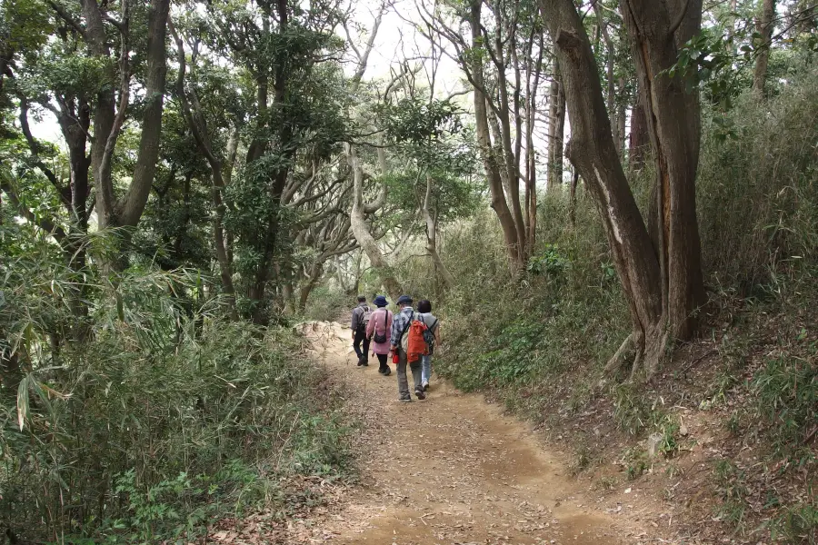 Kuzuharaoka-Daibutsu Hiking Trail