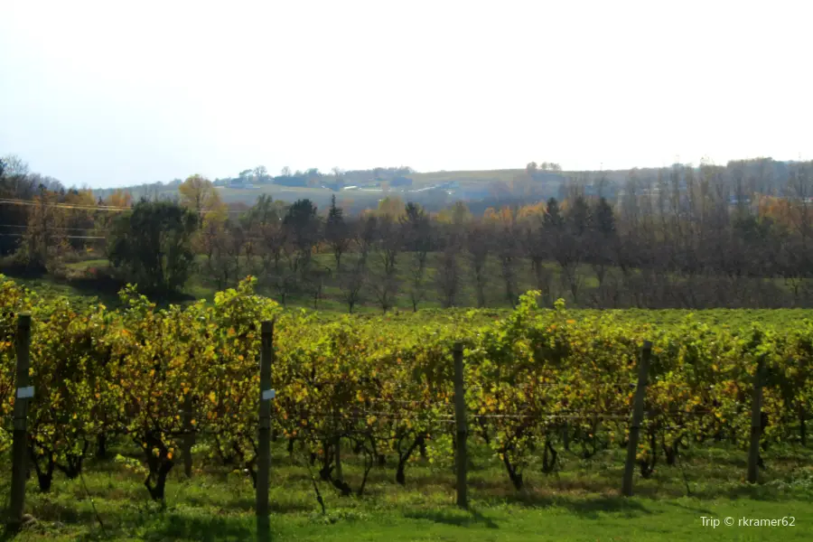 Karma Vista Vineyards and Winery
