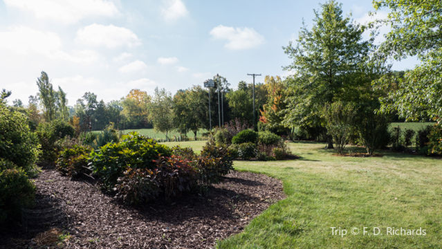 Loma Amarilla Ecological Park