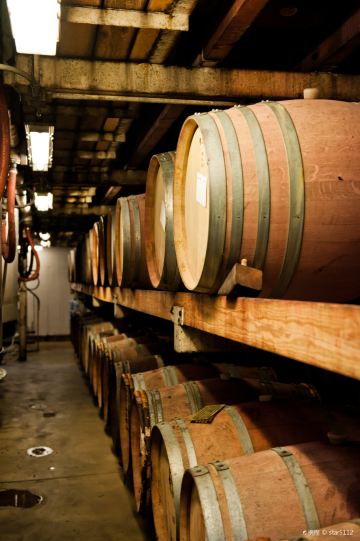 Dry Creek Vineyard
