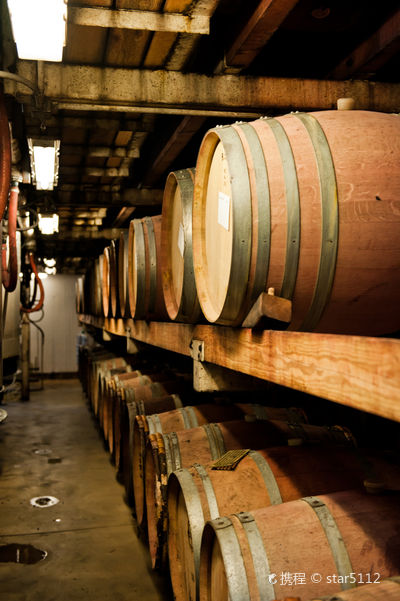 Dry Creek Vineyard