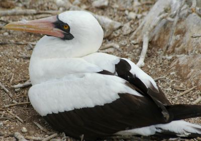 Booby Pond Nature Reserve