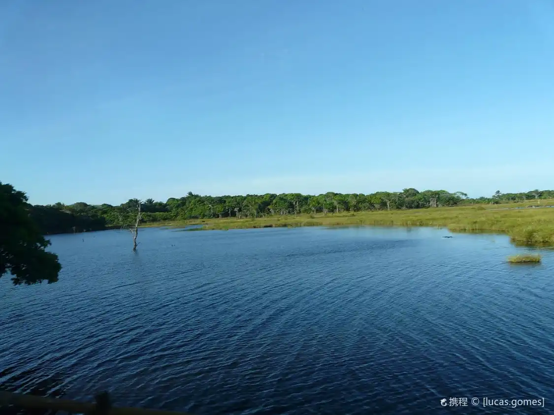 Hotels near Tamar Lake Farm Camping & Caravan Site