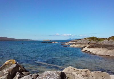 Honeysuckle Beach