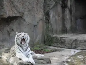Potawatomi Zoo
