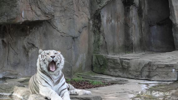 Potawatomi Zoo