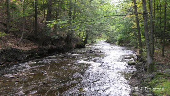 Whetstone Gulf State Park