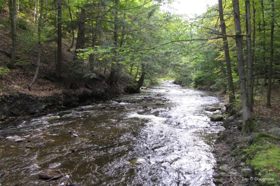 Whetstone Gulf State Park