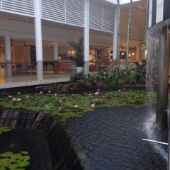 Bazaar張用戶圖片