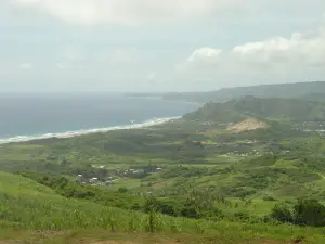 Cherry Tree Hill