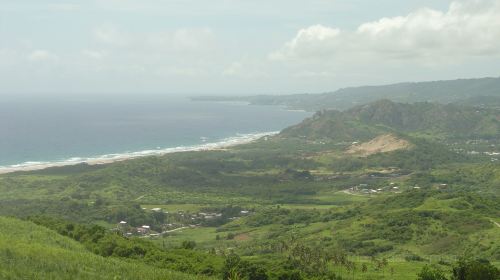 Cherry Tree Hill