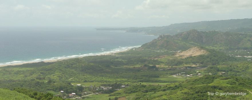 Cherry Tree Hill