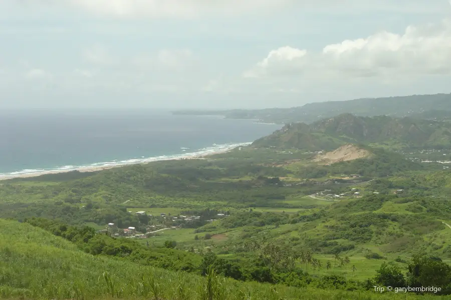 Cherry Tree Hill