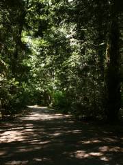 Boyne Valley Provincial Park