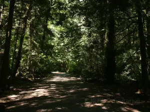 Boyne Valley Provincial Park